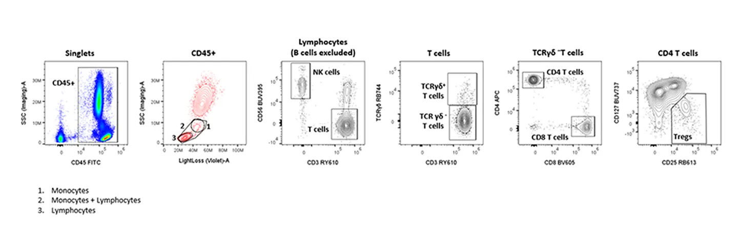 RY610 and RB613 in a 22-Color Spectral Human Lineage Panel