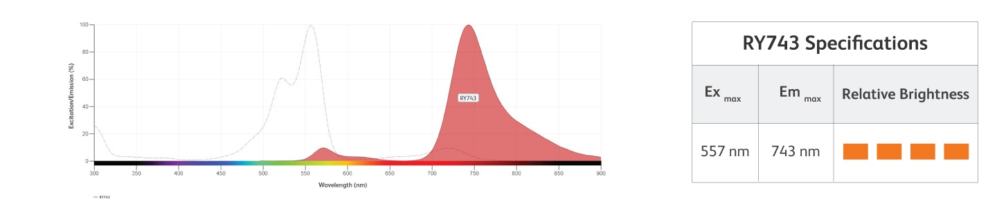 RY743 Excitation and Emission