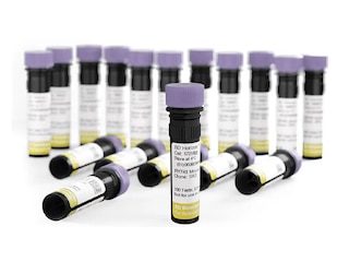 BD Horizon RealYellow™ 743 for Flow Cytometry | BD Real Dyes