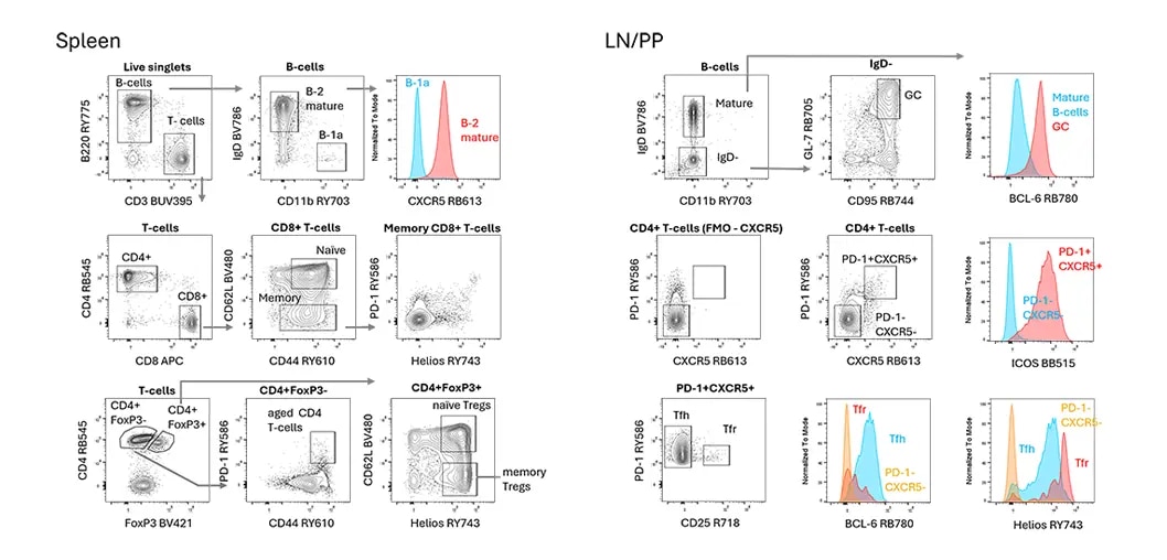 18 Color Spectral Flow Cytometry Panel on FBD ACSDiscover S8