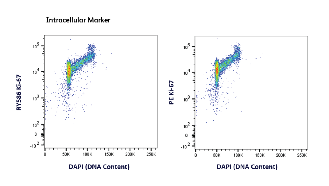RY586 Intracellular Marker Resolutions