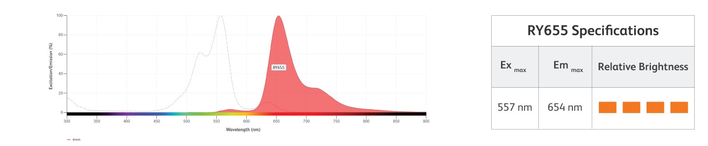 RY655 Excitation and Emission