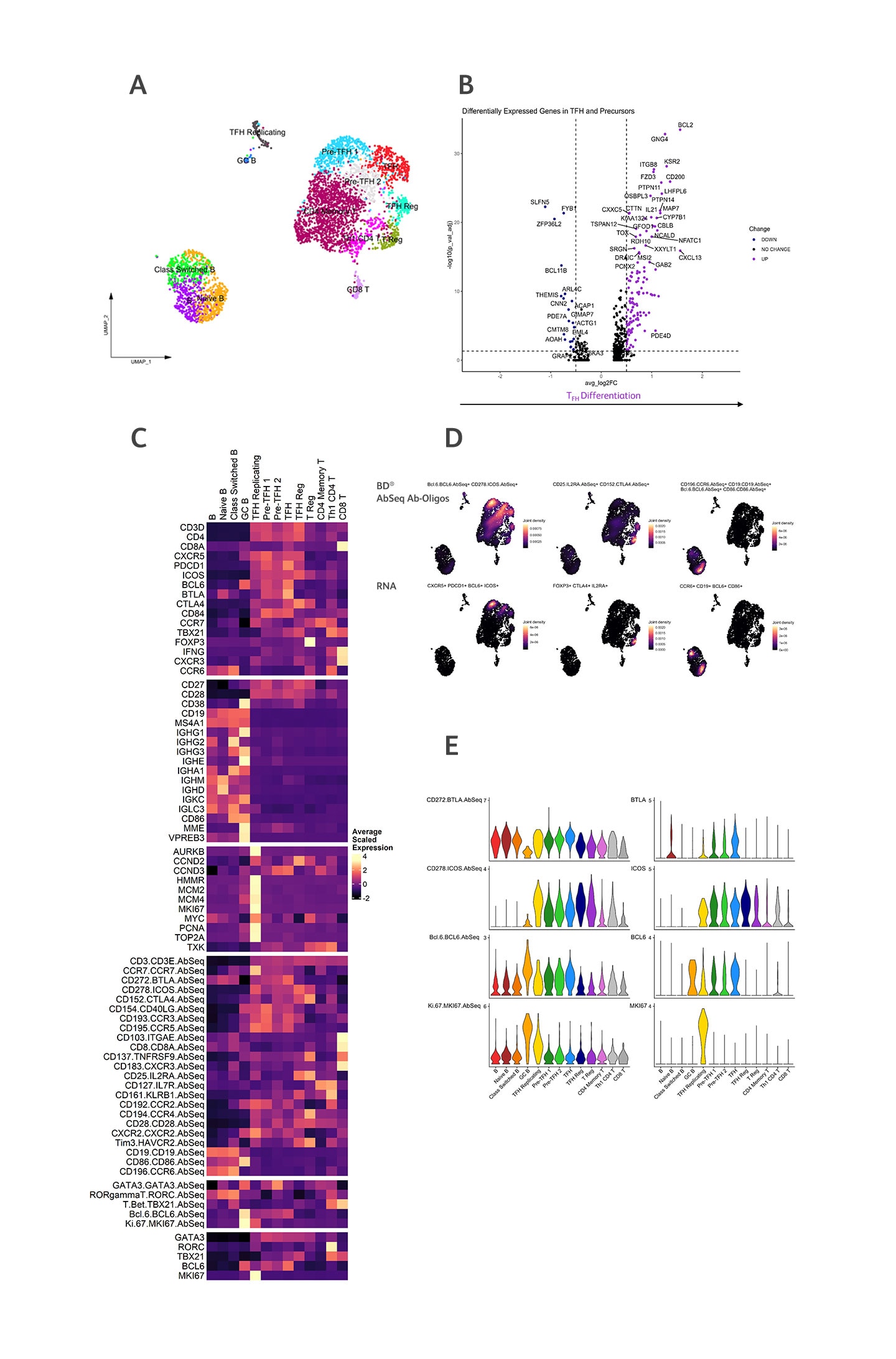 Human Tonsil TFH Characterization Using AbSeq Oligos Human Tonsil TFH Characterization Using AbSeq Oligos