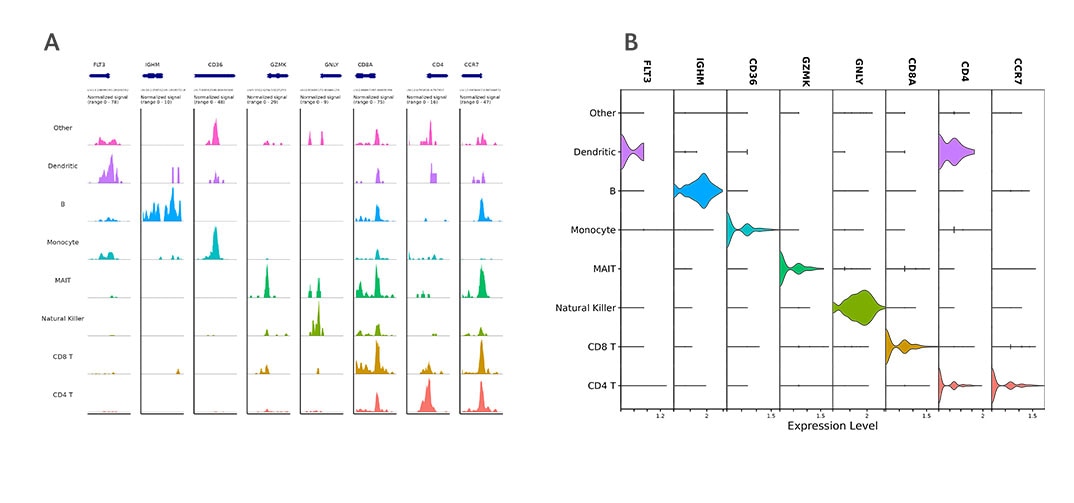 Single-Cell ATAC-Seq Data vs WTA Data in PBMCs