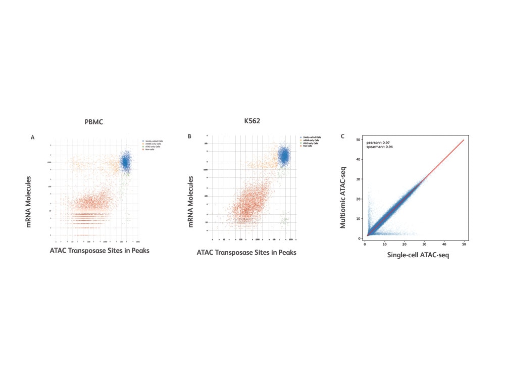 Ties Between Gene Regulation and Expression at Single-Cell Level