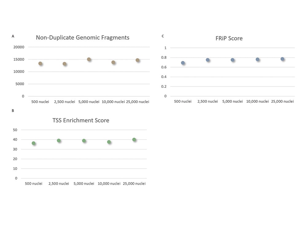 Generate Consistent Data Across Cell Inputs