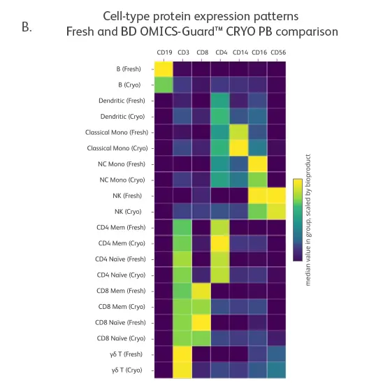 Proteing Expresseion by Cell Type