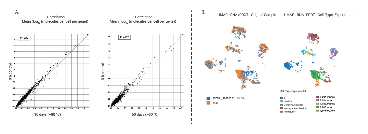 High Gene Expression in PBMC Sample