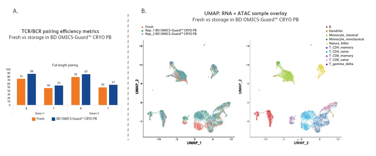 BD OMICS Guard Cryo ScM ATAC-Seq and TCR/BCR Profiling