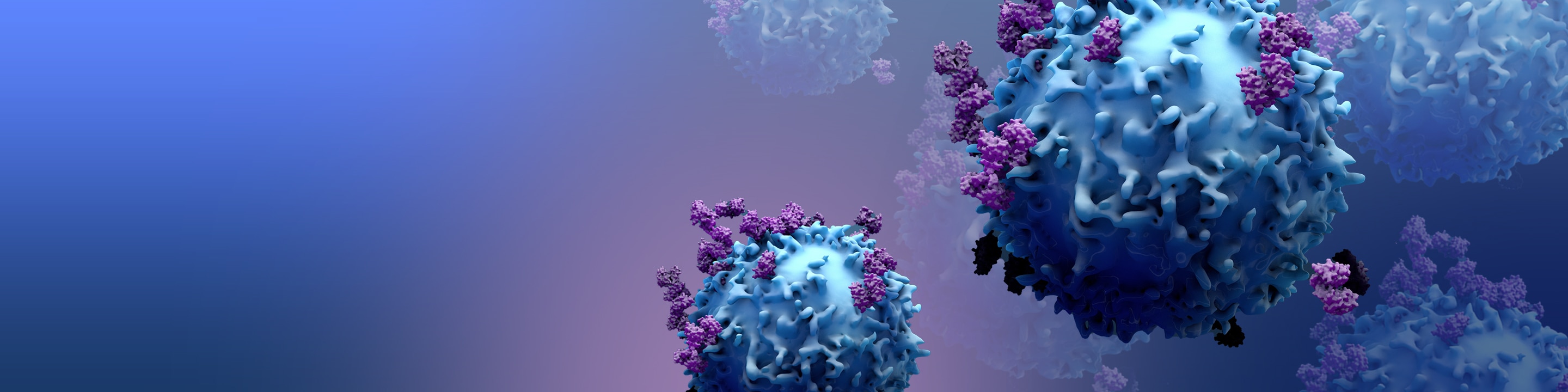 BD OMICS-One Immune Profiler Protein Panel 