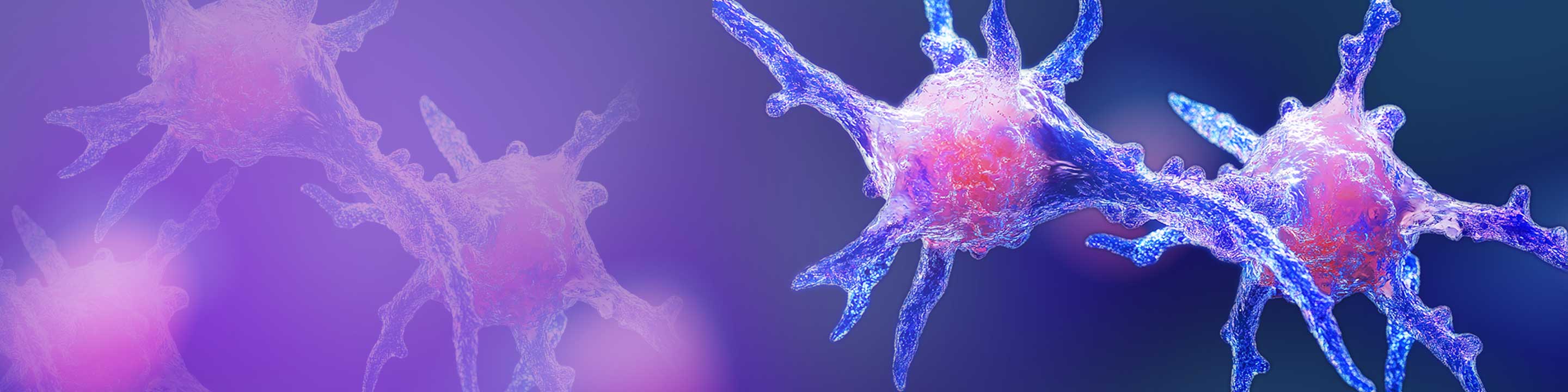 BD® OMICS-One Comprehensive Immuno-Oncology Protein Panel