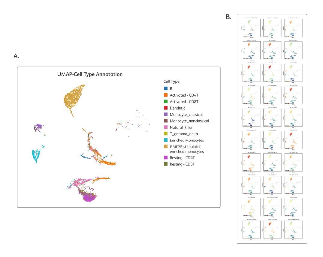 Reliable performance—detect 30 critical APC and myeloid cell protein markers in your samples with confidence
