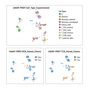 TCR BCR Detection Sensitivity Thumbnail