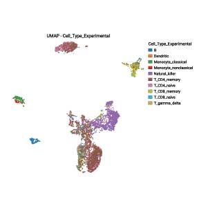 TCR-BCR Paired Chains in Specific T-cell and B-cell clusters