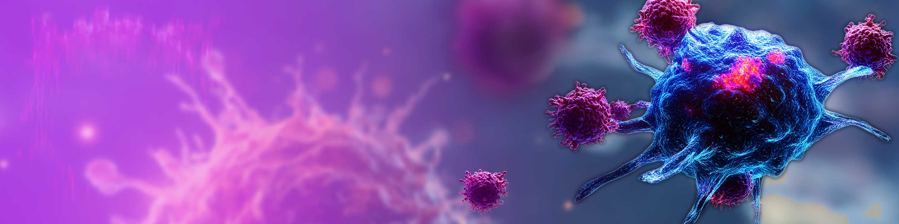 BD® OMICS-One Innate Immuno-Oncology Protein Panel