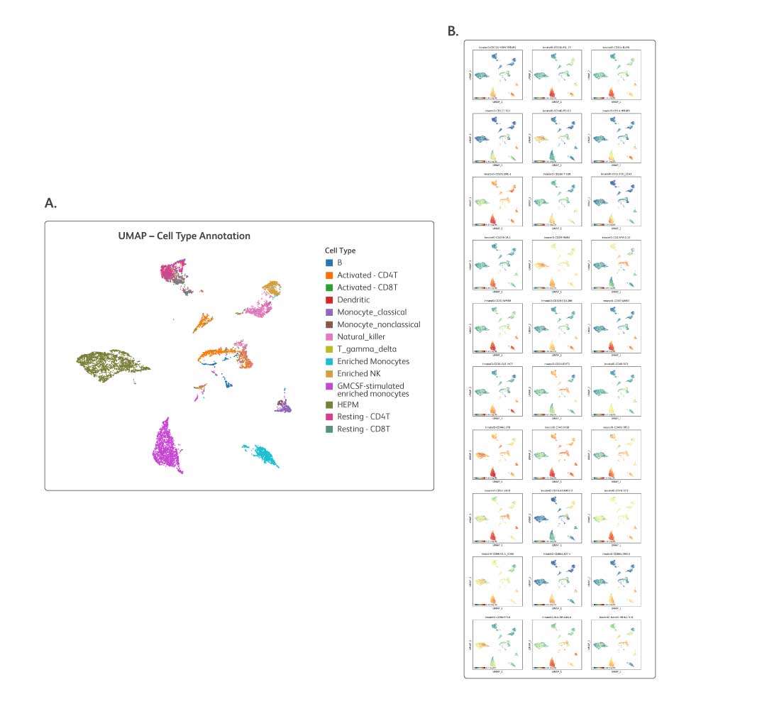 Reliable performance—detect 83 critical NK-cell, APC/Myeloid and tumor markers in your samples with confidence 