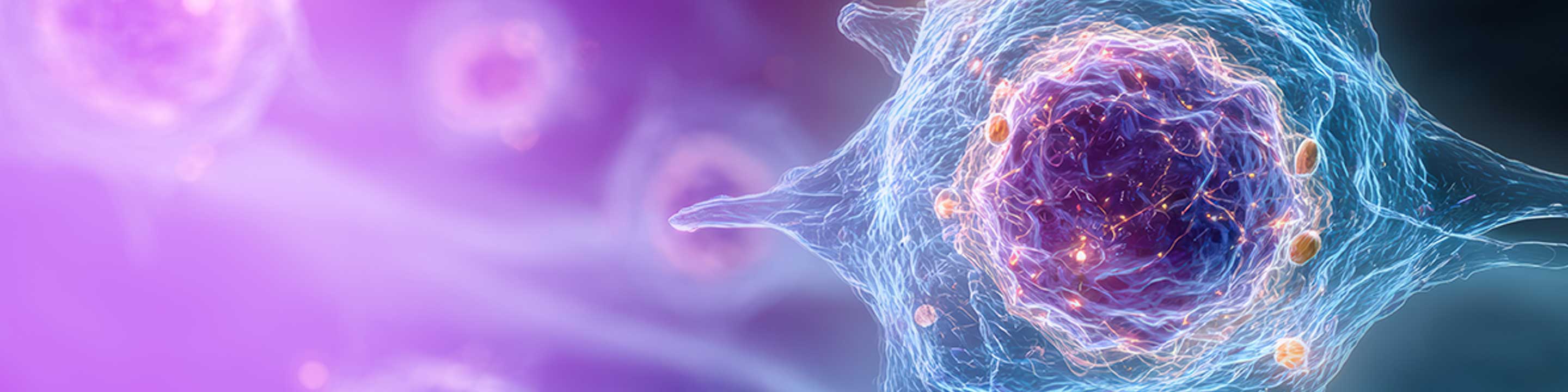 BD® OMICS-One NK-Cell Protein Panel 