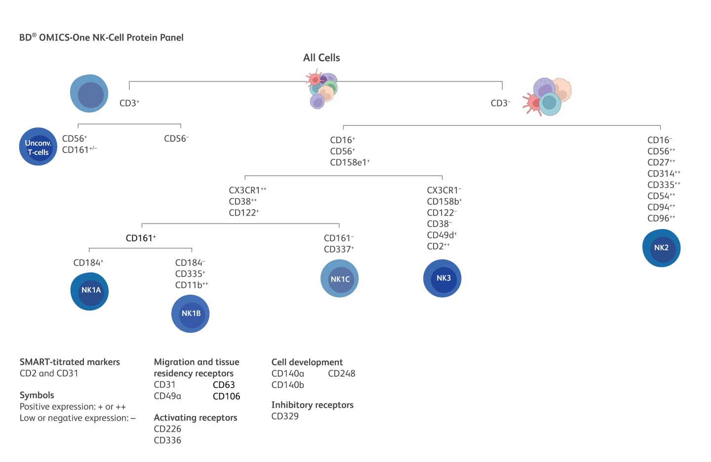 NK Cell Tree
