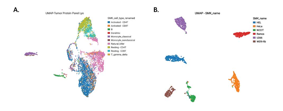 Tumor Associated Marker Detection