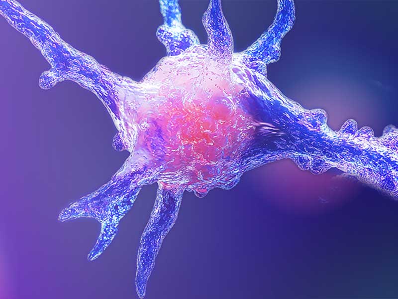 BD® OMICS-One APC/Myeloid-Cell Protein Panel