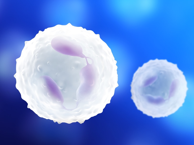 BD<sup>®</sup> OMICS-One Adaptive Protein Panel