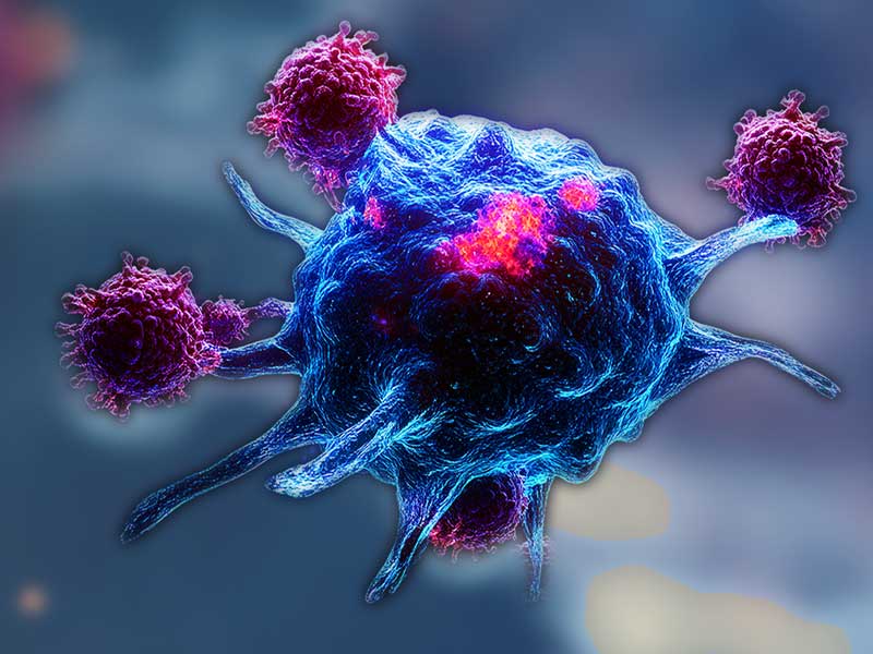 BD® OMICS-One Innate Immuno-Oncology Protein Panel