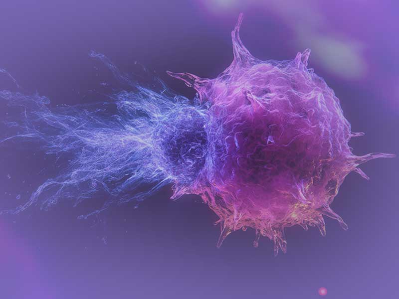 BD® OMICS-One Adaptive Protein Panel