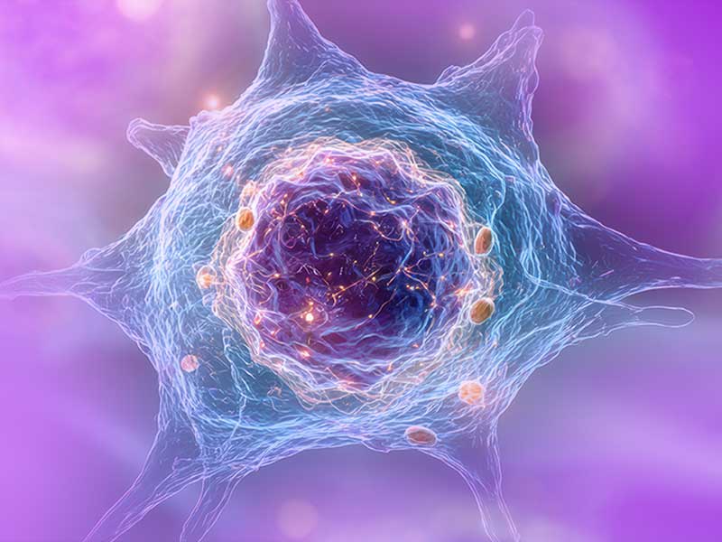 BD OMICS-One NK-Cell Protein Panel