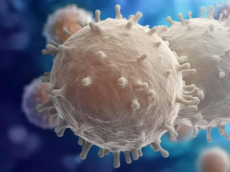 BD<sup>®</sup> OMICS-One T-Cell Protein Panel