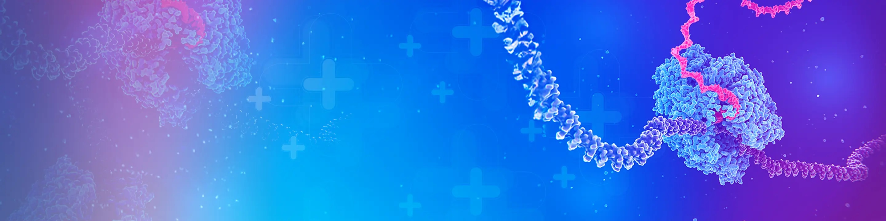 BD OMICS-One™ WTA Next Assay