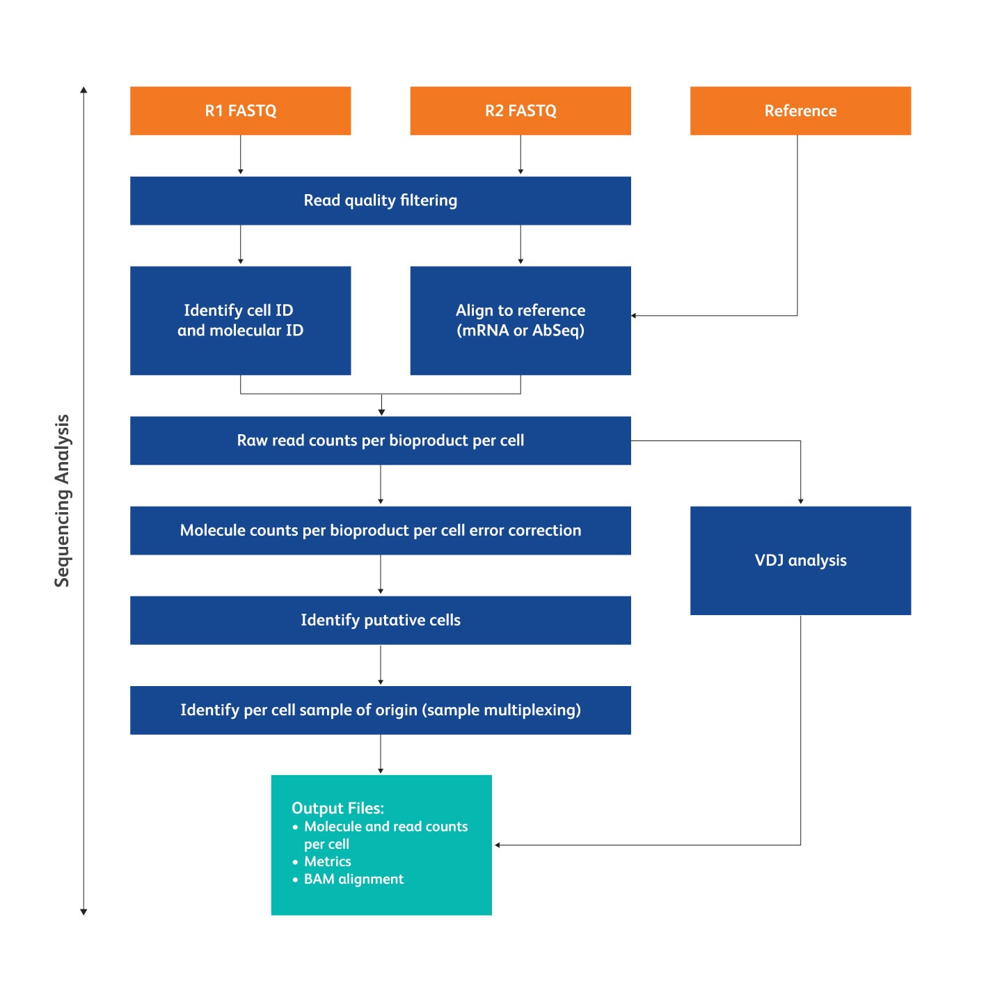 BD Rhapsody Pipeline Workflow BD Rhapsody Pipeline Workflow