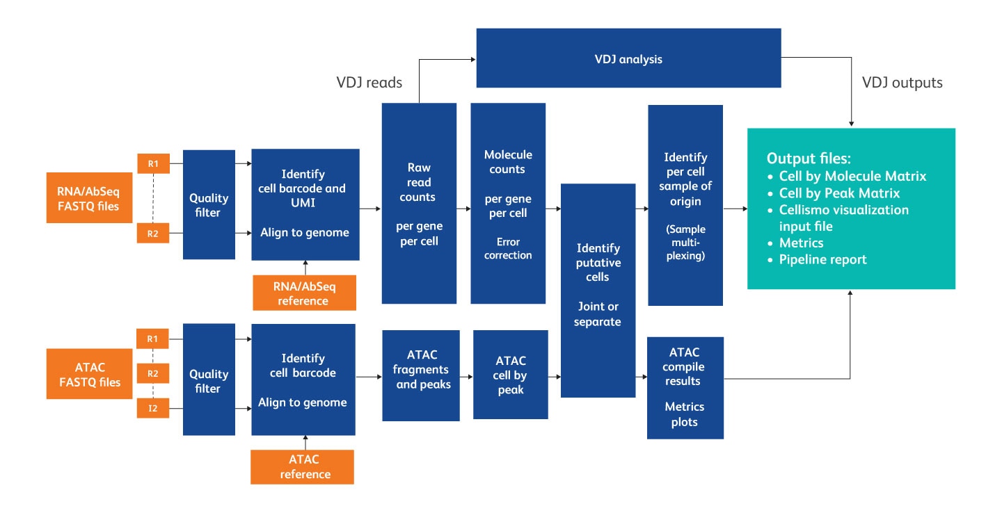 BD Rhapsody Pipeline Workflow BD Rhapsody Pipeline Workflow