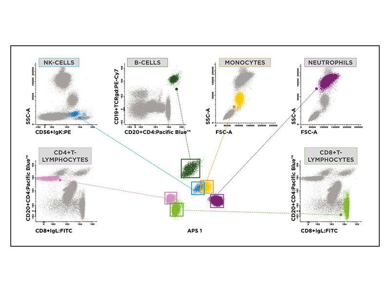 Pushing the limits by 'equal opportunity' design - CytoBuoy flow cytometry  solutions