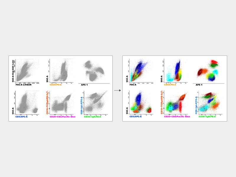 Automatic population separator animation Automatic population separator animation