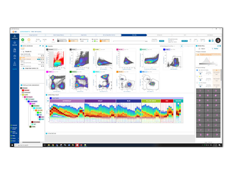 BD FACSChorus Software Display BD FACSChorus Software Display