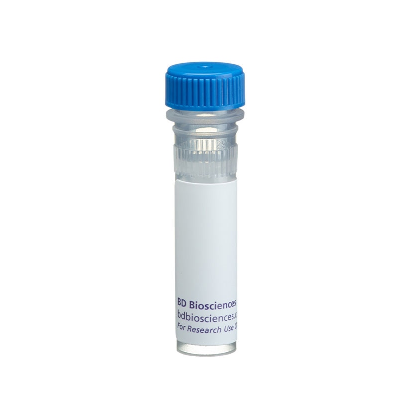 Purified Mouse Anti-Hsp70