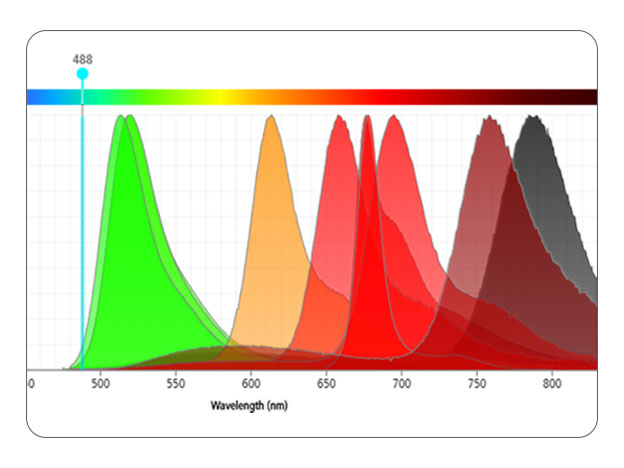 Build your panel with BD scientists