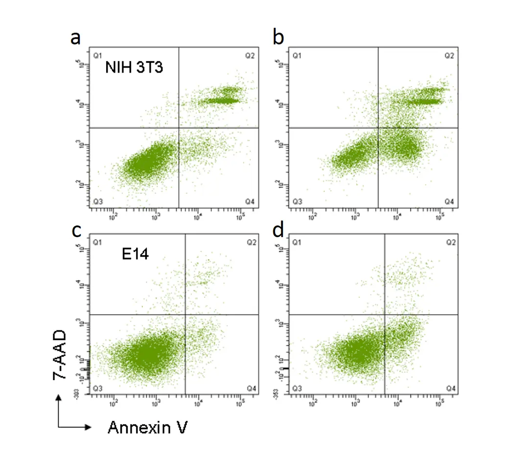 pdf-to-page-conversion-project/annexinv-staining-for-adherent-cells/Annexin-V-Adherent-Cell-Staining