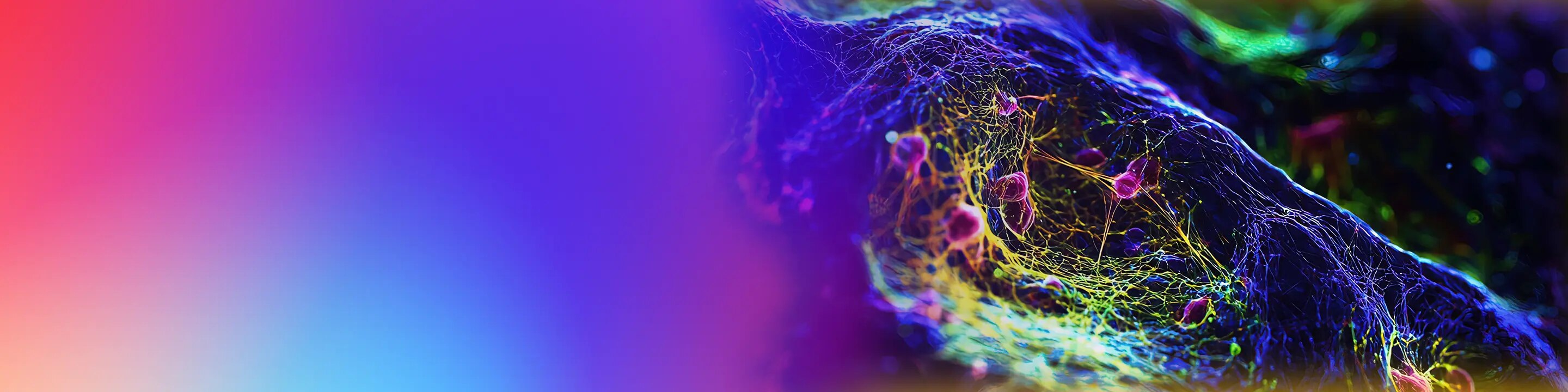 Cancer Diagnosis and Surveillance