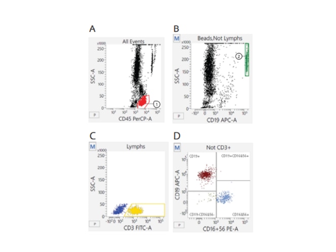 Stained BD Multitest Normal Sample