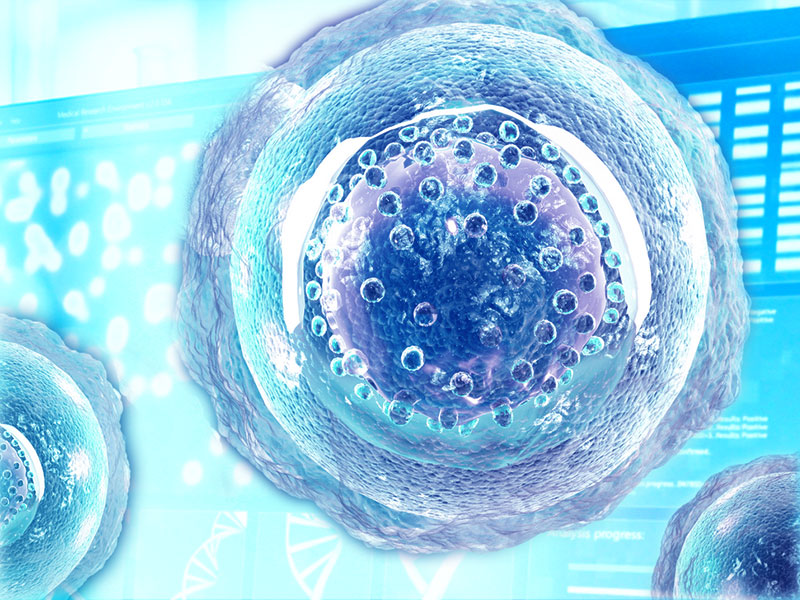 CAR-T and Cell Therapy Research