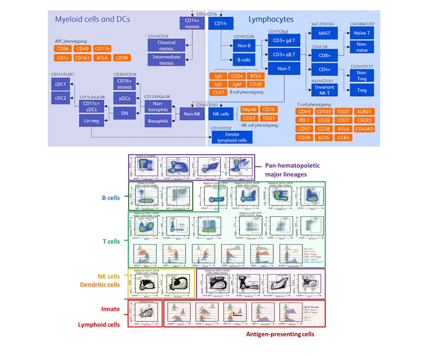 Ultra High-Parameter Analysis
