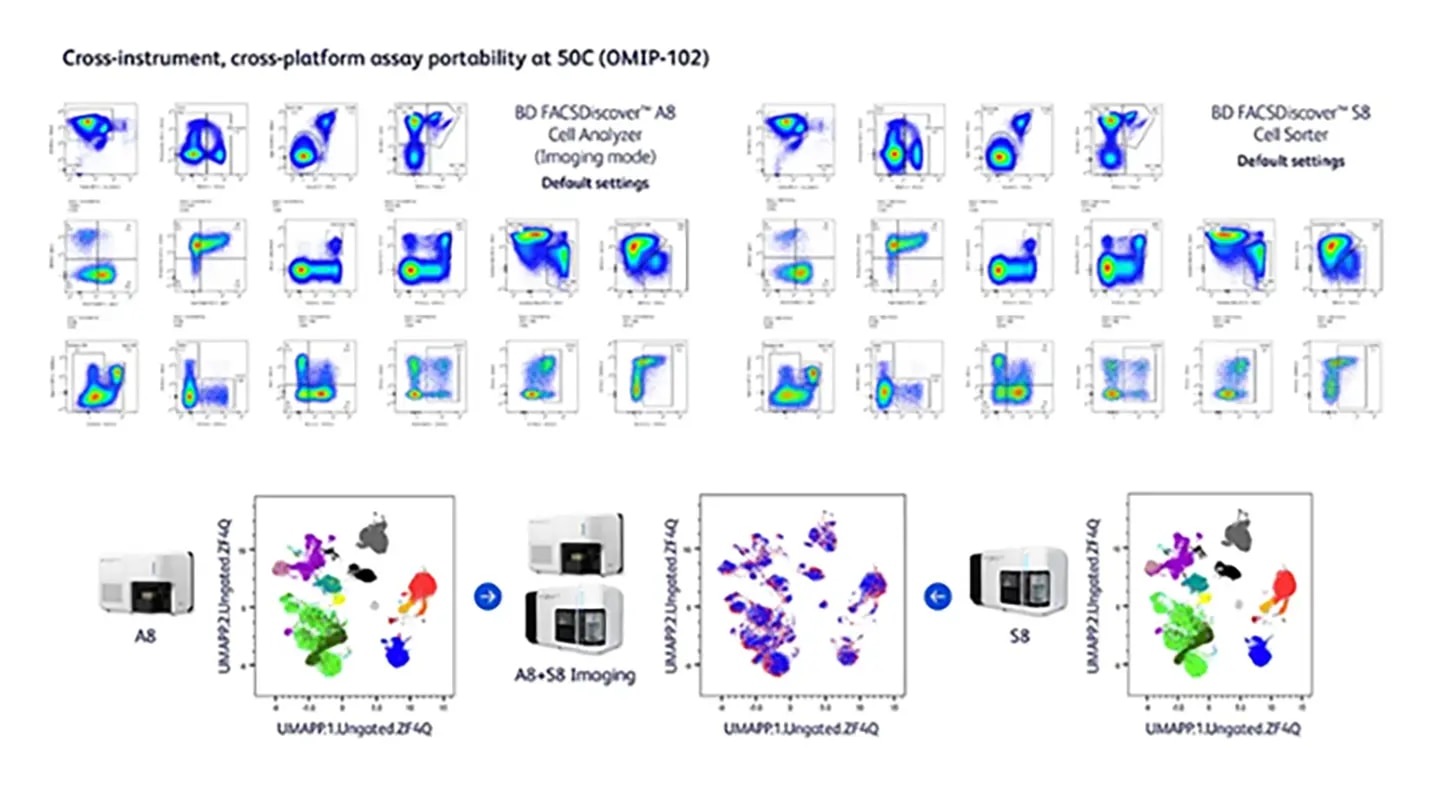 Seamlessly move from analysis to sorting
