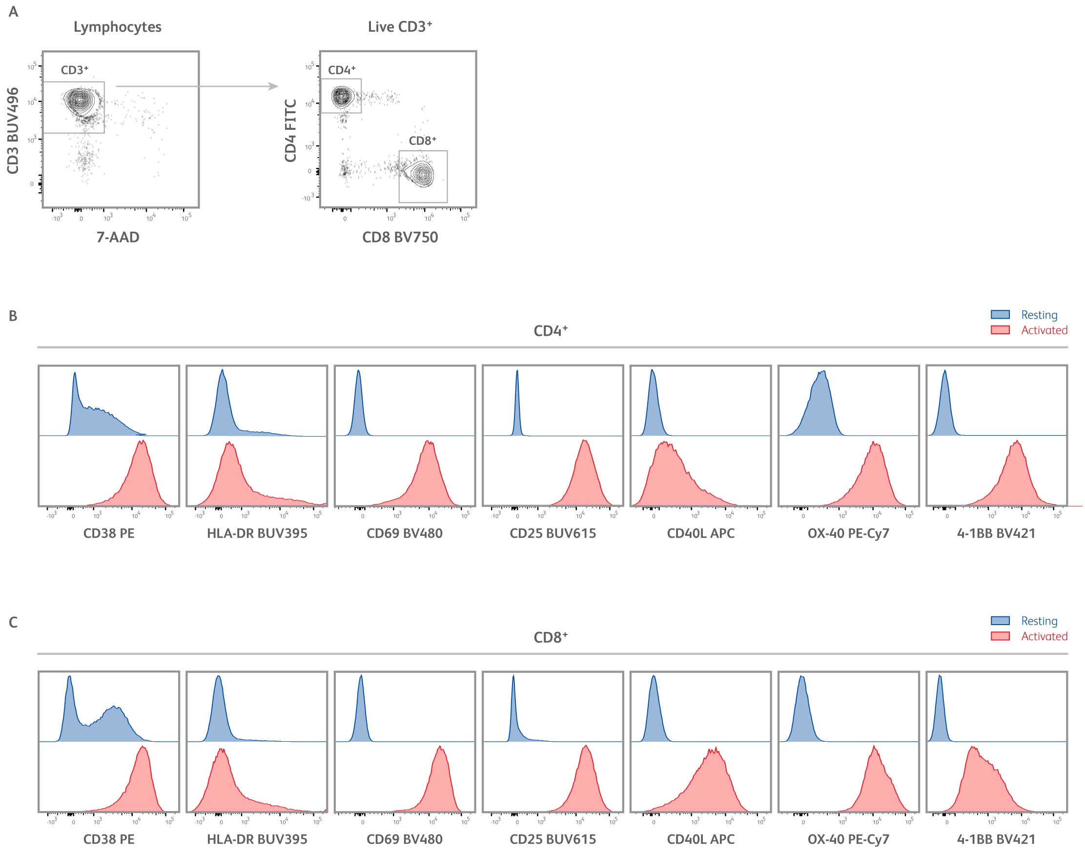 Activated T cell panel