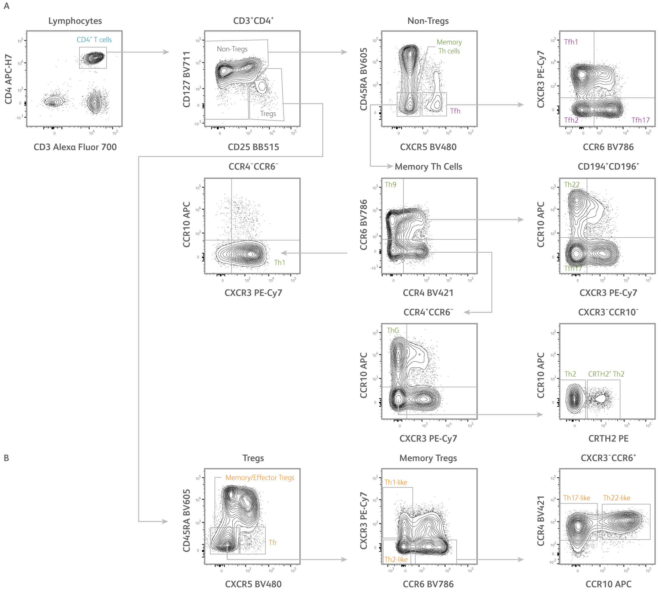 CD4 T cell subset panel