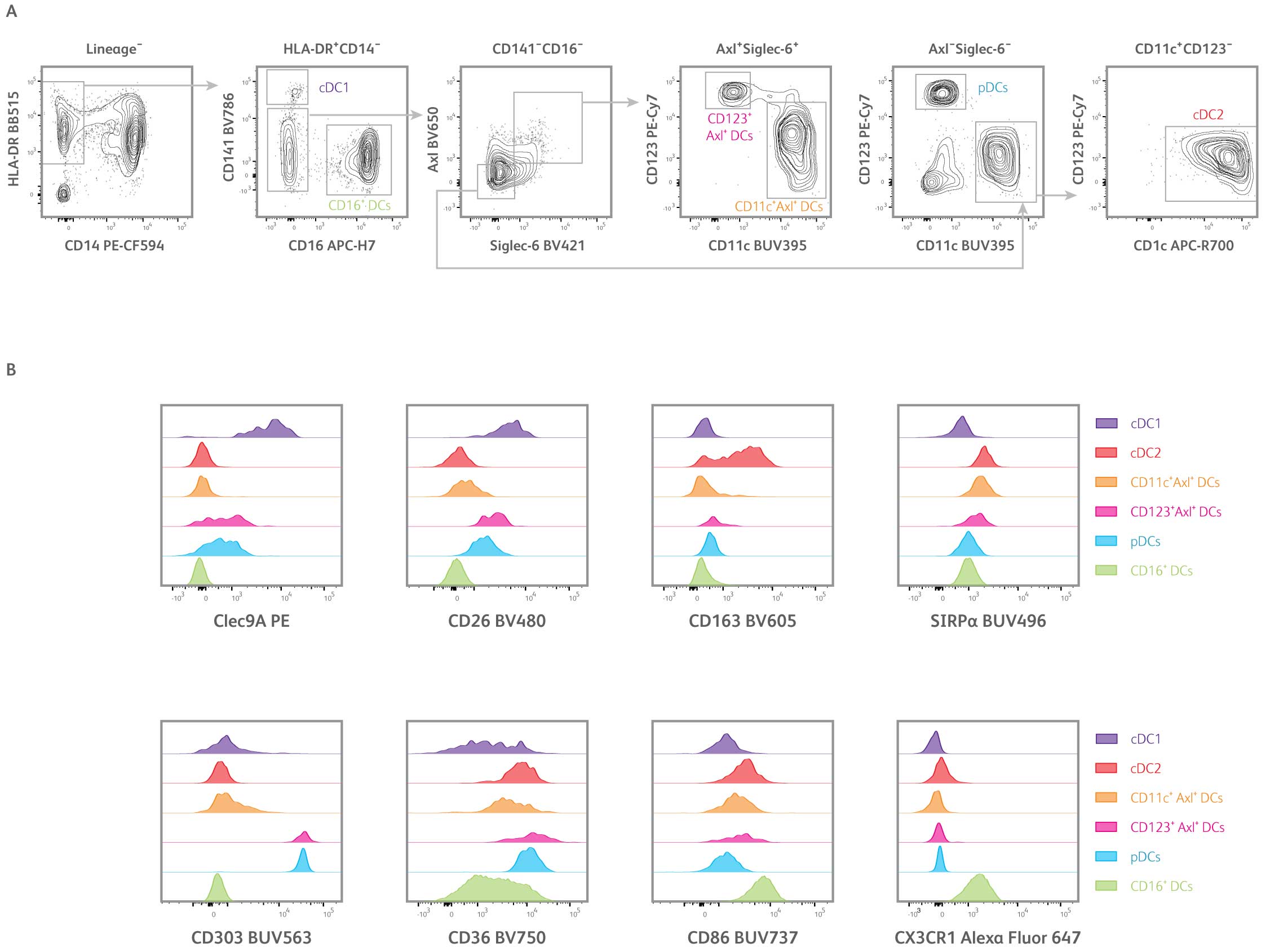 Dendritic cell subset panel