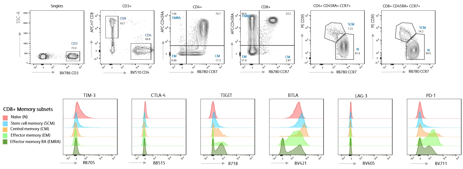 12-color T cell Panel with RB705 A