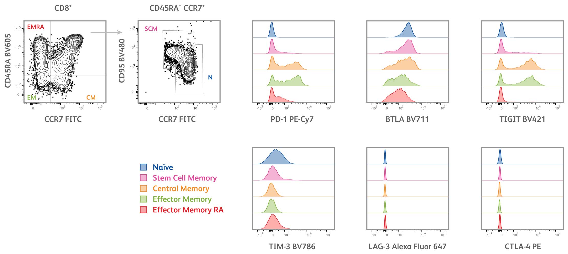 T cell inhibitory receptor panel